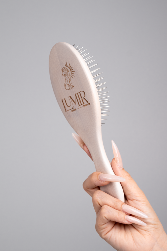 Steel/Boar Bristle Brush
